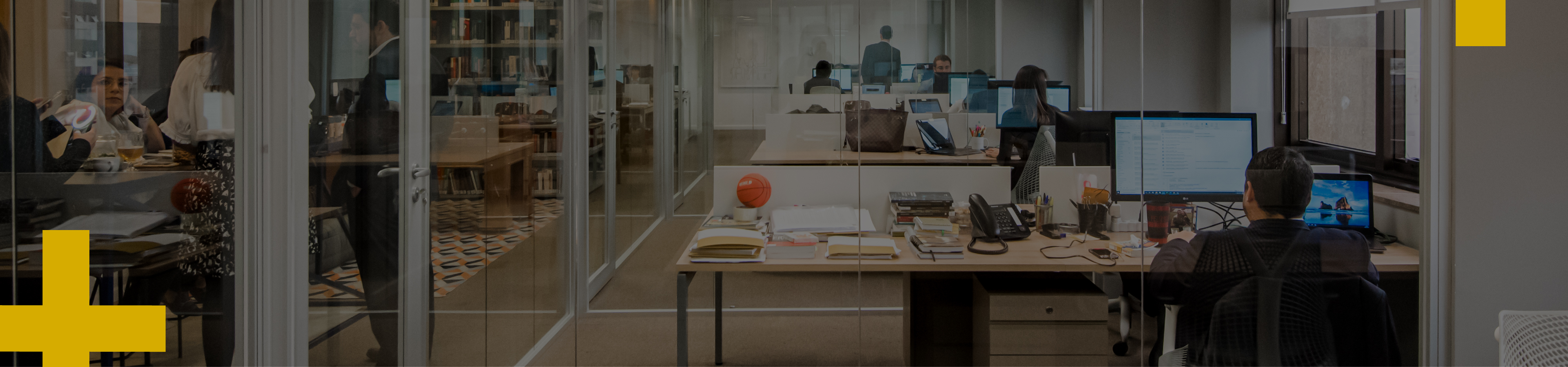 Case Palma Guedes Advogados | EnterDesign