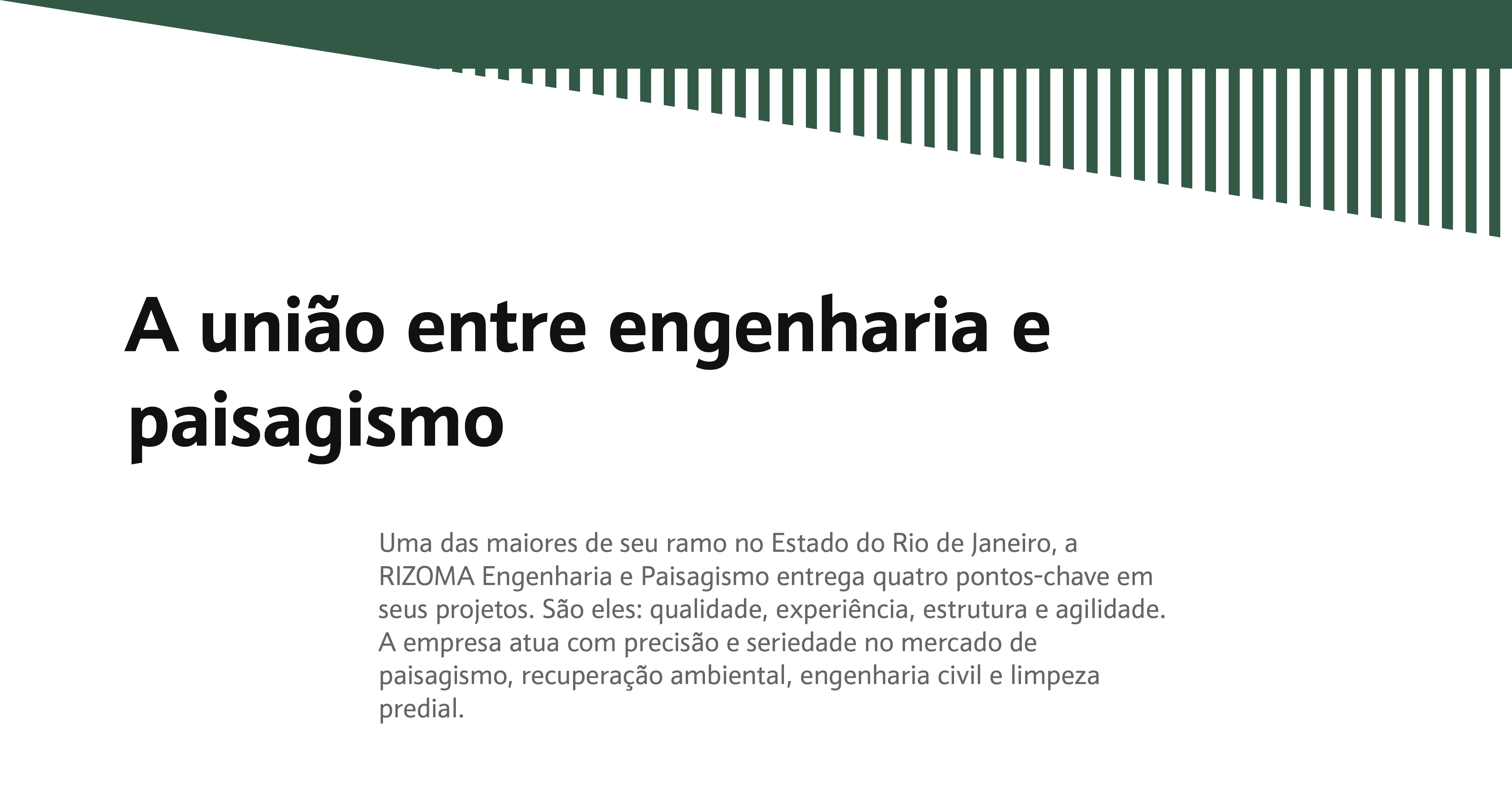 Case Rizoma | EnterDesign